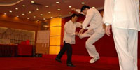 hun yuan tai chi demonstration at hong kong chow assocation